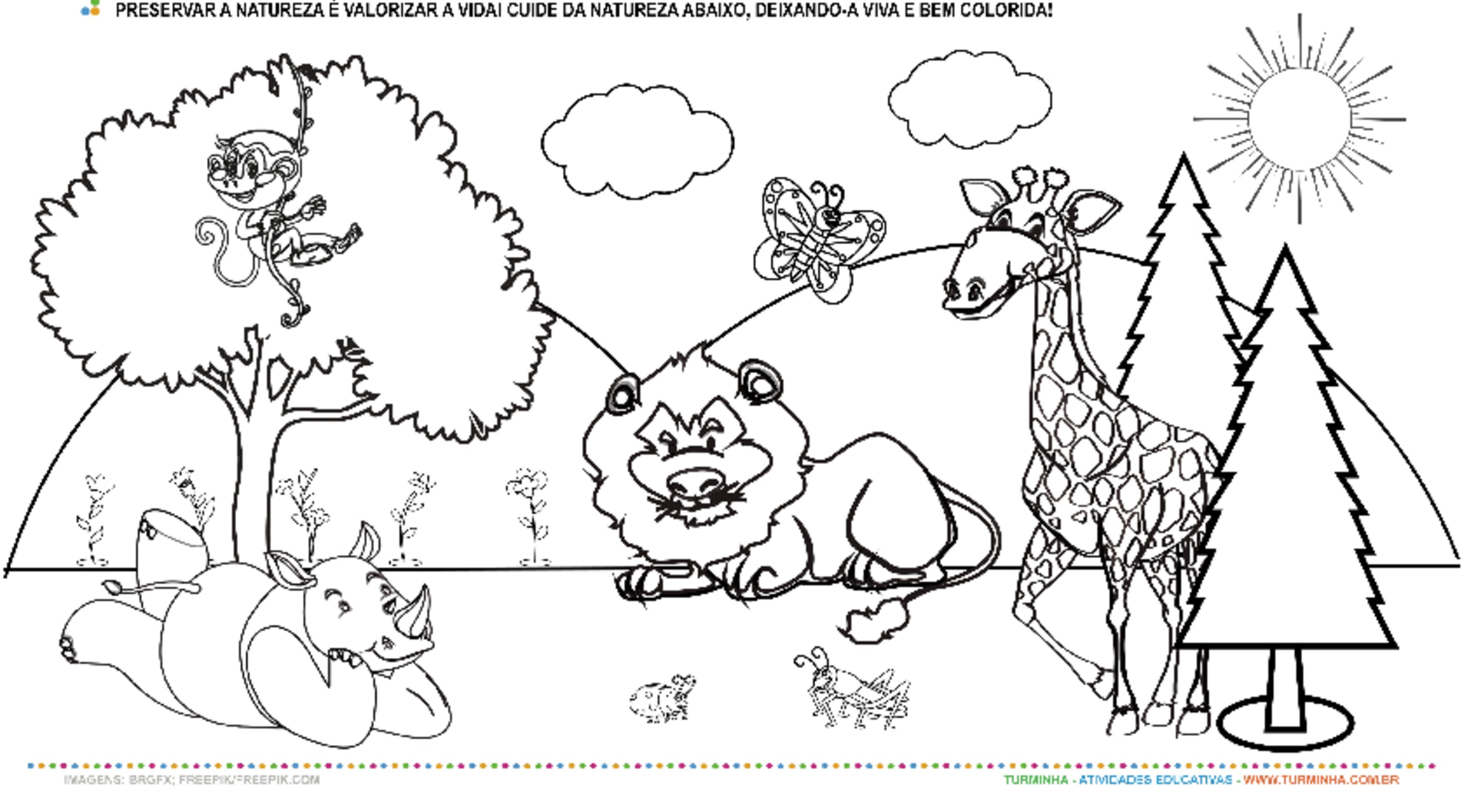 Download grátis: ilustrações da natureza para colorir