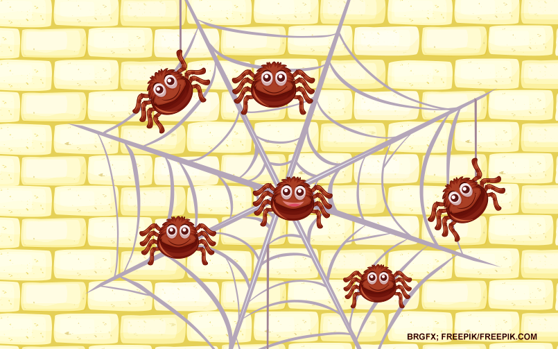 ARANHA SUBINDO NAS PAREDES