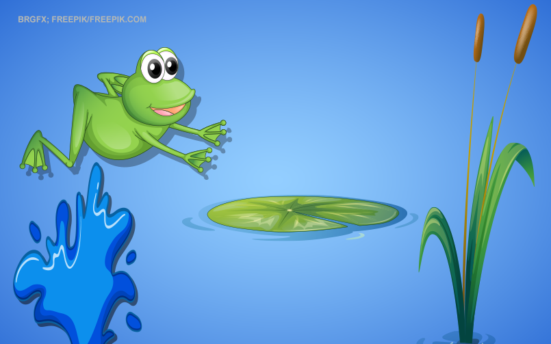 O Sapo Não Lava O Pé